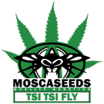 Mosca Seeds